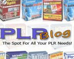 the-plr-blog (2)