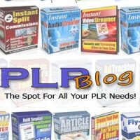 the-plr-blog (2)